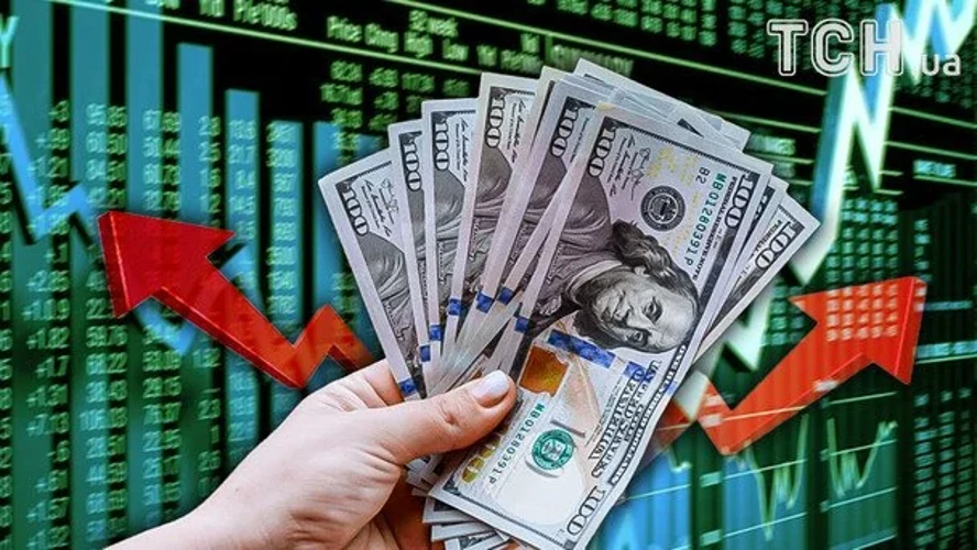 Курс НБУ 5 серпня: долар, євро і злотий — ключові цифри та зміни
