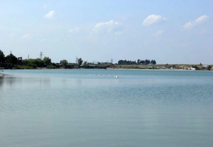 Близько трьох тонн риби загинуло у водоймах Борщагівської громади на Київщині