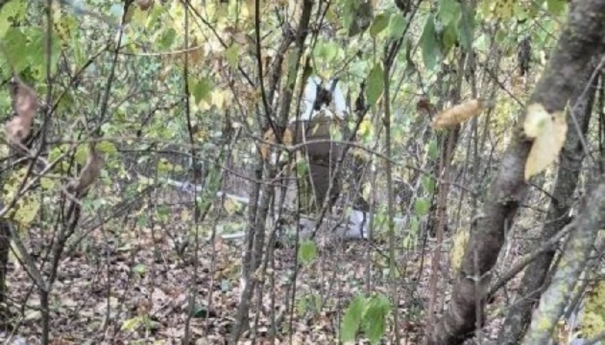 Оточене місце падіння дрона в лісі на околиці села Джамена, де працюють сапери та військові